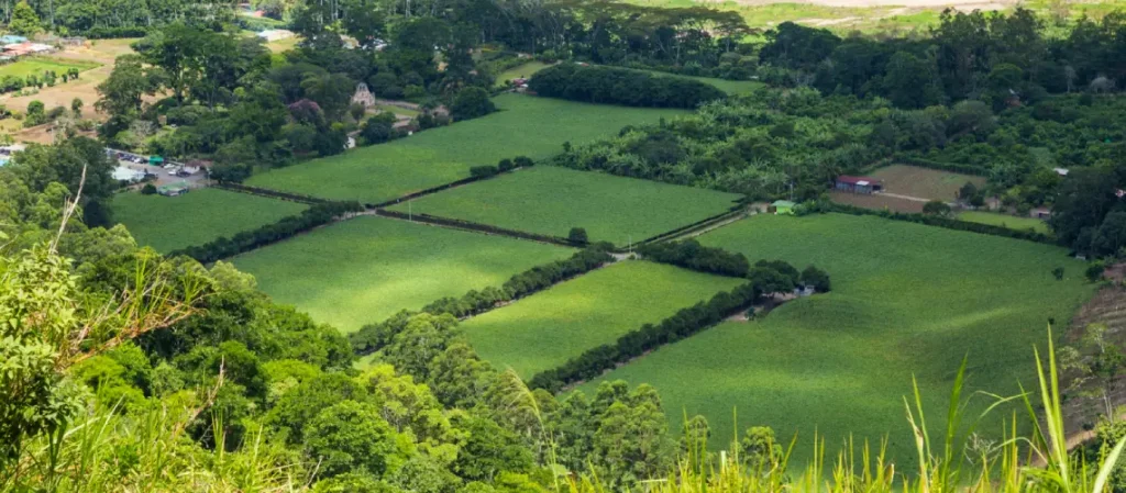 A valuer assessing farmland and pasture in regional NSW